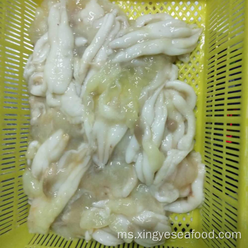 Roes Squid Frozen Illex Argentinus